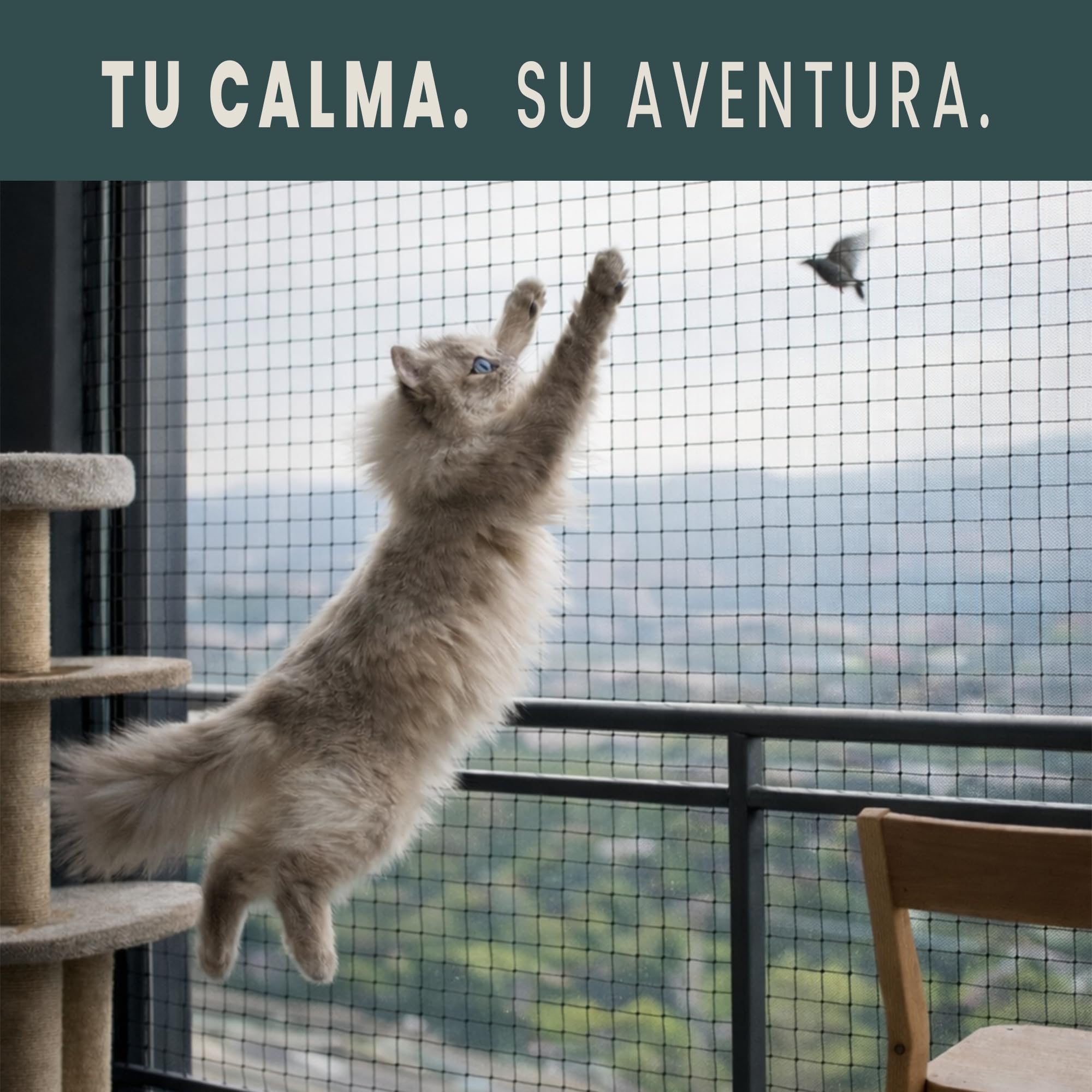 Red Para Gatos 8x3m Seguridad Reforzada Ideal Balcón Ventana Terraza Protección Exterior Interior Malla Antidesgarro Duradera Montaje Kit Completo Ganchos Adhesivos Bridas Juguete Regalo (8x3 metros)