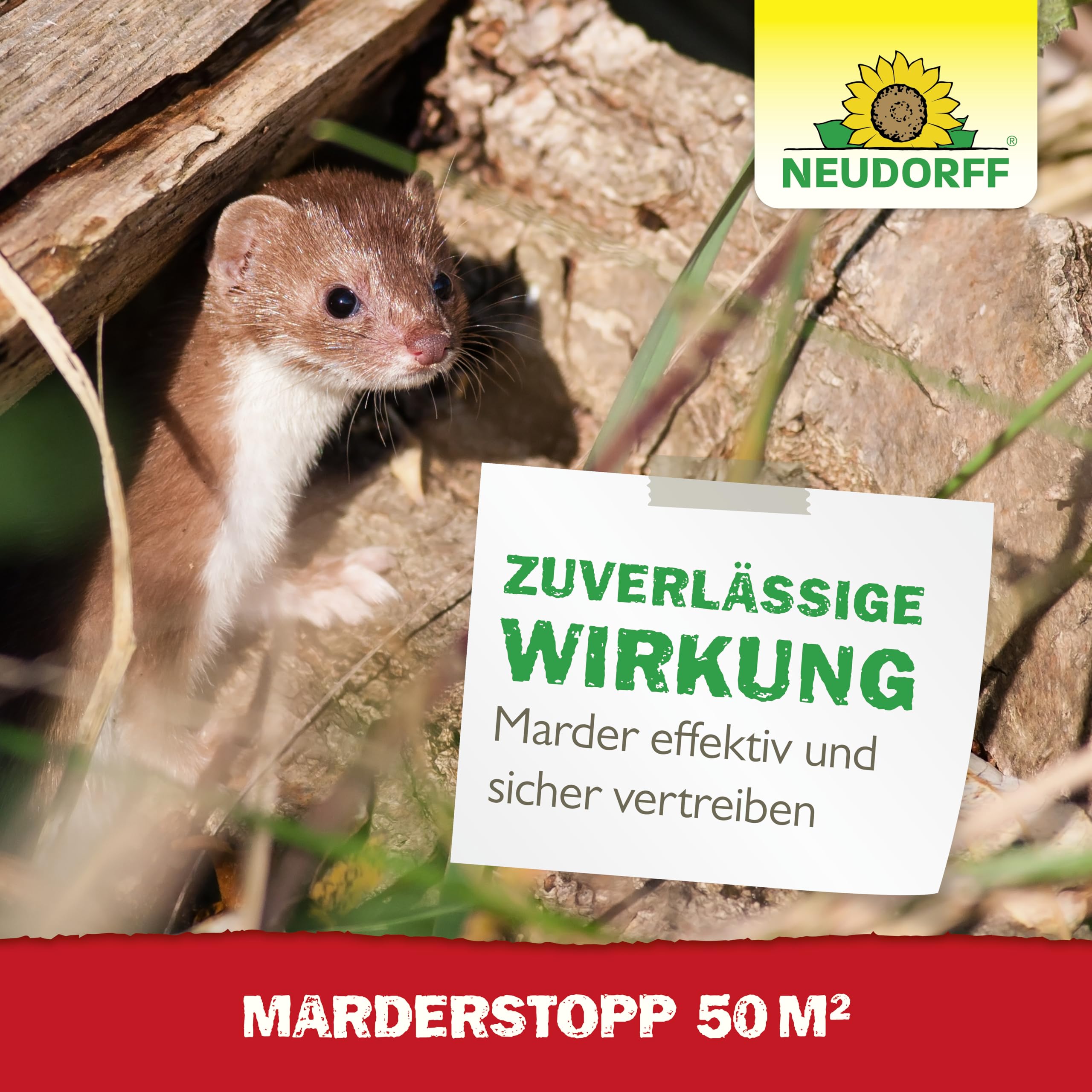 Neudorff MarderStopp 50m² - Vertreibt Marder sofort und dauerhaft aus Autos, Wohnwagen, Dachböden und Garagen. Anti Gewöhnungseffekt, batteriebetrieben, 1 Stück