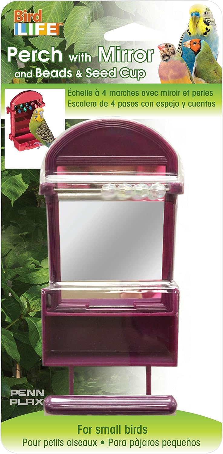 Penn Plax PP90274 Bird Life Perch & Bead Mirror & Seed Cup