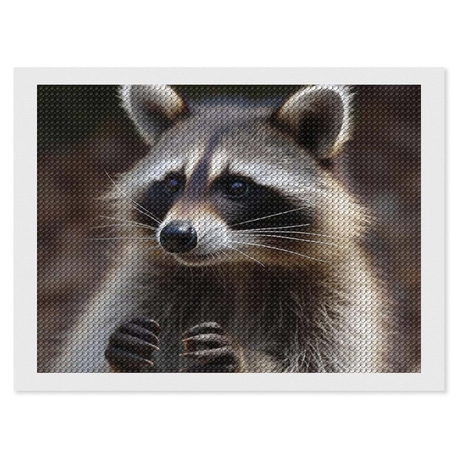 Raccoon Diamond Art Kits for Adults, DIY 5D Diamonds Painting Kits for Beginner, Round Full Drill Diamond Dots Painting, 12"x16" Diamonds Pictures Gem Art and Crafts Wall Decor