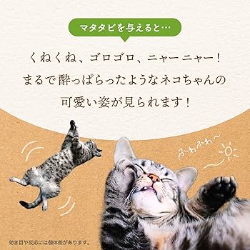 猫のまたたびページ 楽天市場】TVで話題のまたたびおもちゃ 猫用 天然またたびトイ