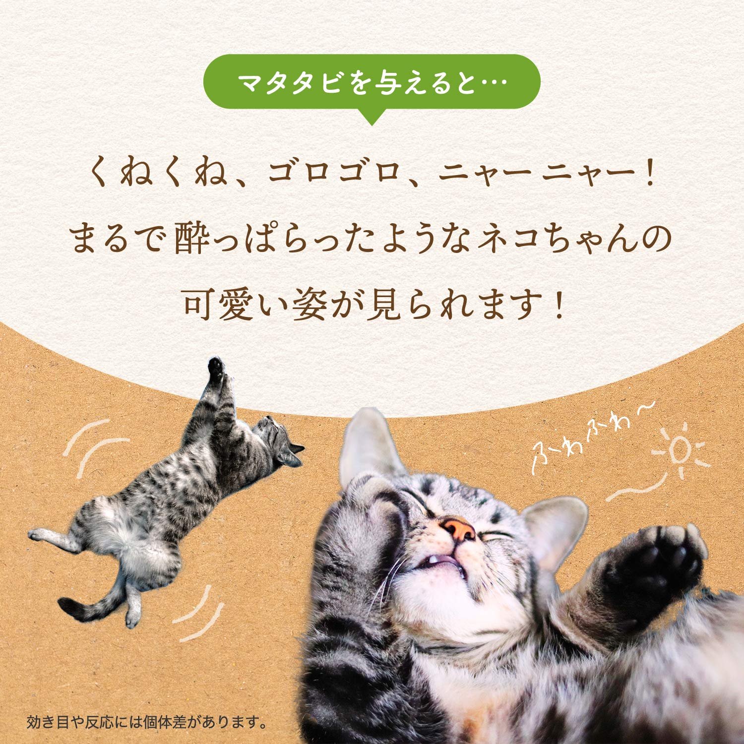 Amazon | 猫用 天然 100％ マタタビ 乾燥 枝 おもちゃ しつけ つめとぎ