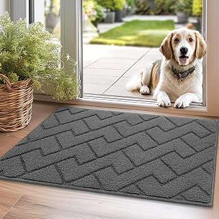 Biscpro Door Mats Indoor, Dirt Trapper Mat Absorbent Non-Sli