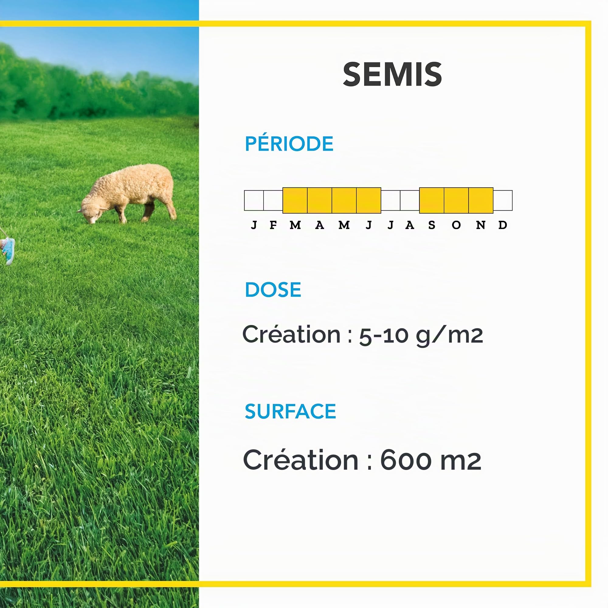 BARENBRUG - Prairie 100% Ray-grass anglais BIO - Pousse Rapide - 3KG | Prairie Polyvalente - Très Résistante dans le Temps - Fourrage pour Animaux - Fabriqué en France