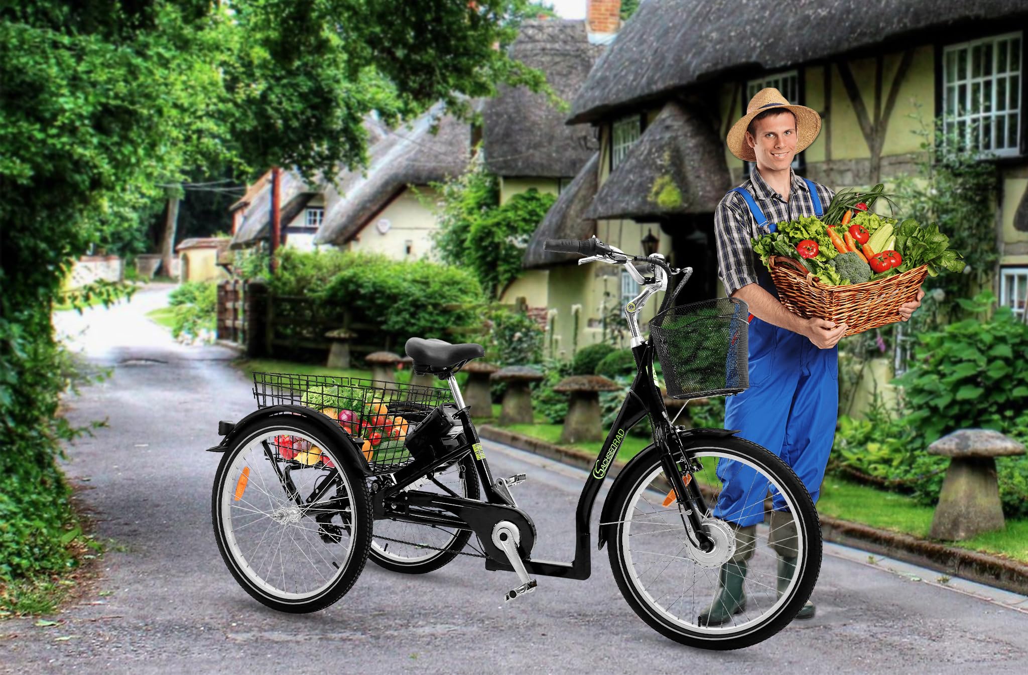 Vélo Cargo électrique T3A Trio avec système d'alarme, vélo électrique 250 W avec écran LCD et éclairage LED homologué StVZO pour Le Transport des Enfants, Cellule LG Durable, Noir