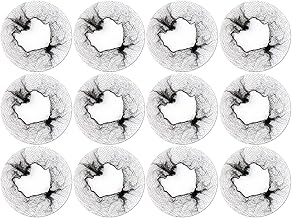 Paradise Set Of 12 Net Bun Cover Casual Style Juda Net, Jali For Women And Girls, Black, Pack Of 1