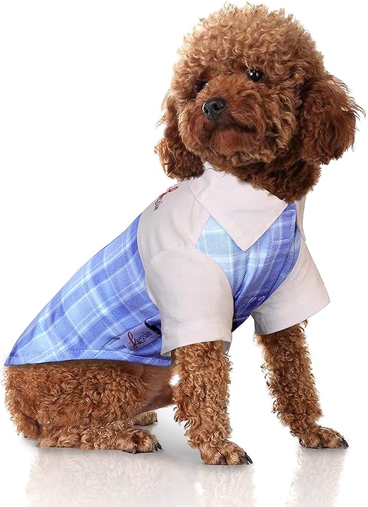 dog button up shirt