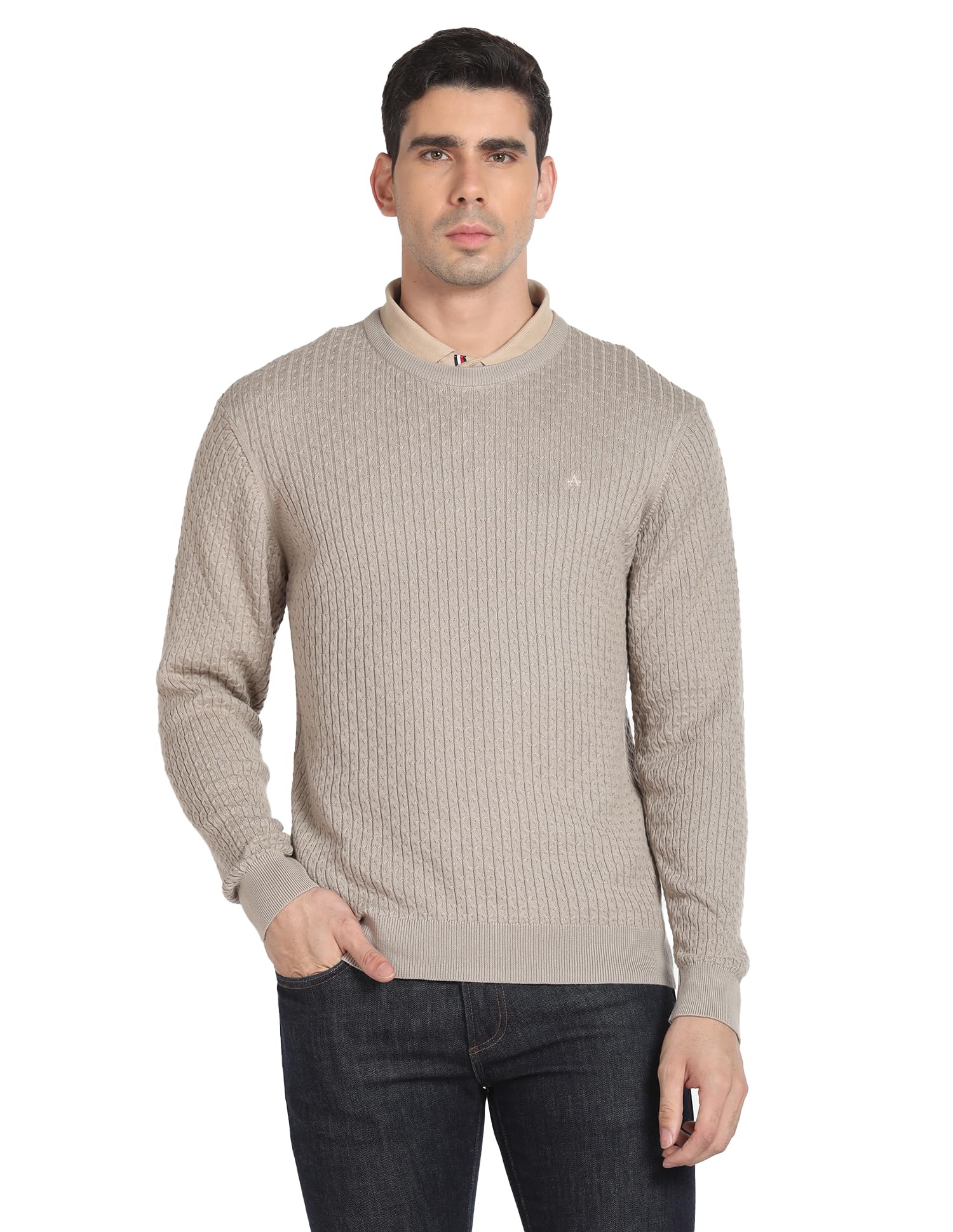 arrow Men's Cotton Round Neck Casual Sweaters-picture-48