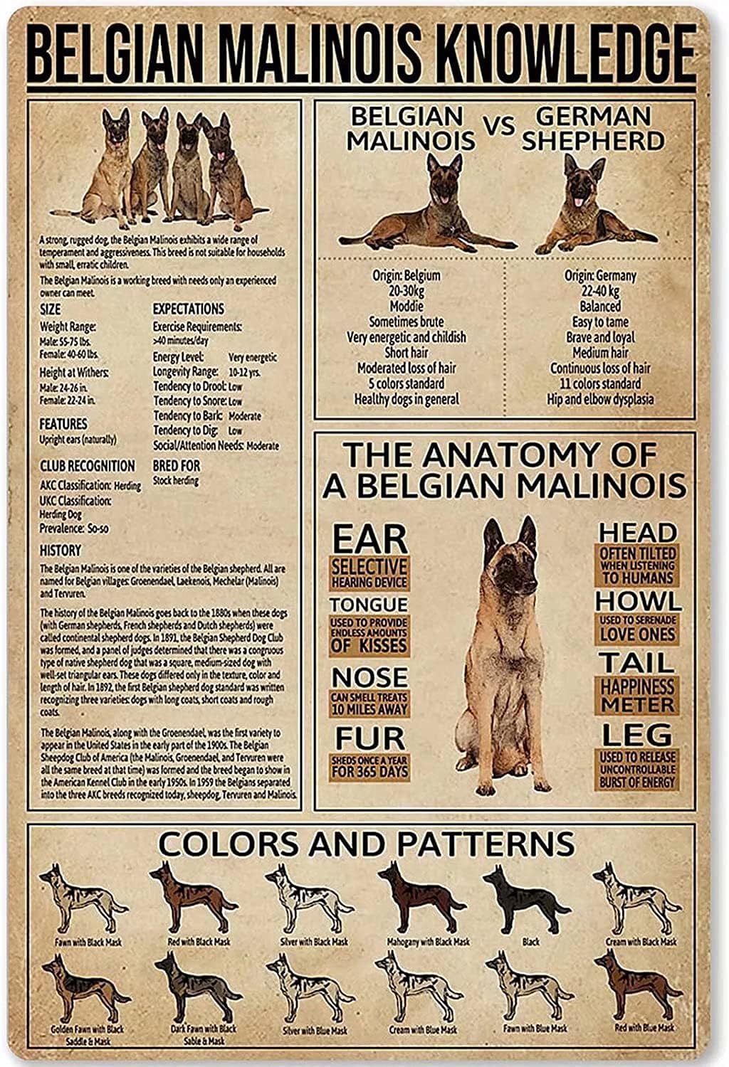 belgian malinois store
