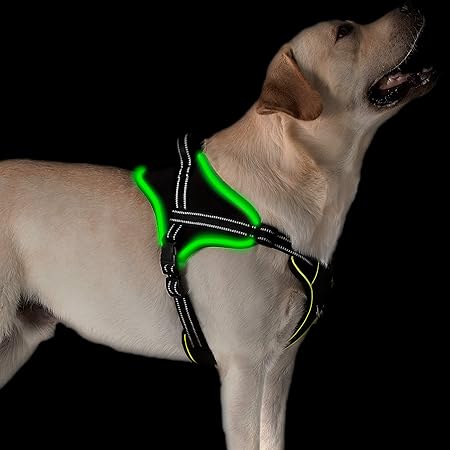 light harness for dog