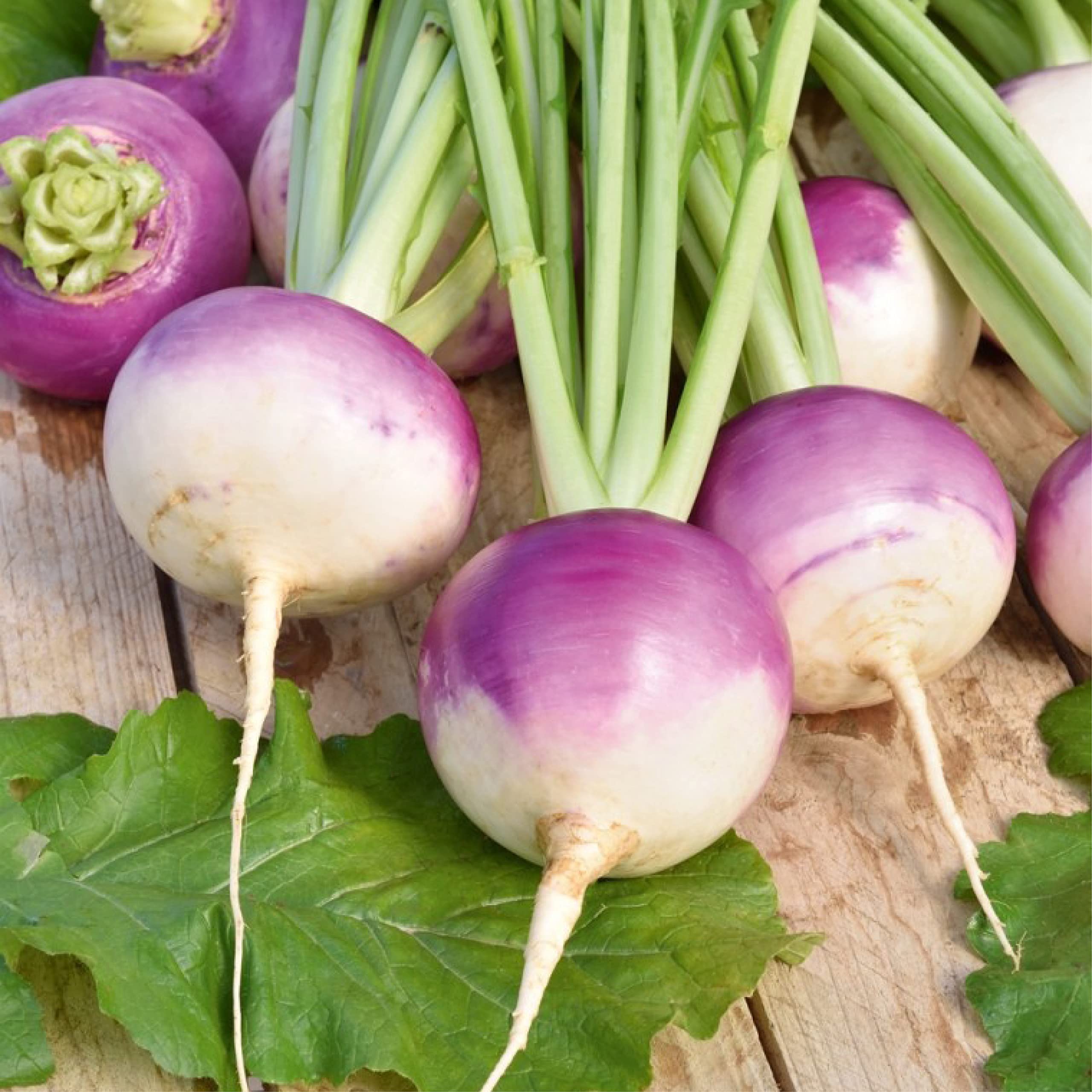Barbabietola Tonda Di Chioggia (Beta Vulgaris) - Circa 100 Semi - Foto 6