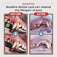 Vista 2 de JAYU PET Gel dental - Pasta de dientes para perros y gatos, eliminación de placa y sarro, limpieza de dientes y ambientador de aliento, cuidado
