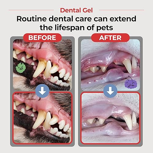 Miniatura 2 de JAYU PET Gel dental - Pasta de dientes para perros y gatos, eliminación de placa y sarro, limpieza de dientes y ambientador de aliento, cuidado