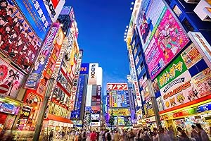 Toynk Evening in Akihabara, Japan Quarantine Jigsaw Puzzle for Adults and Kids