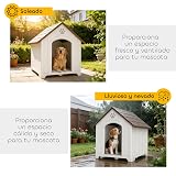 Ver la foto 5