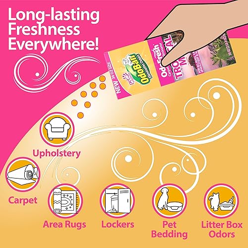 Miniatura 3 de OdoBan OdoFresh desodorante en polvo para alfombras y habitaciones para olores y olores del hogar, incluyendo humo, orina de mascotas, perros y