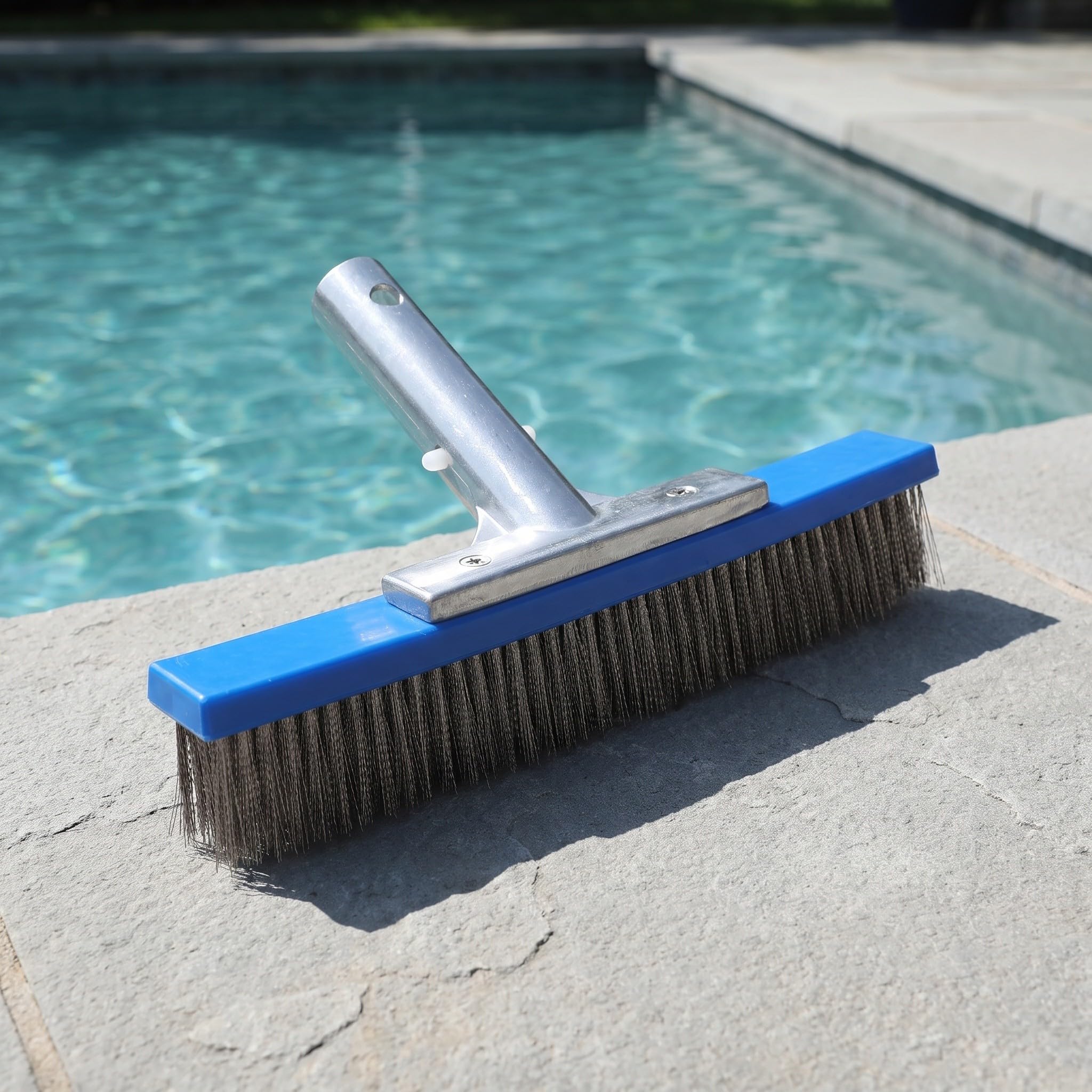 Gatuida Cabezal de Cepillo para Paredes de Piscina, Cepillo de Limpieza