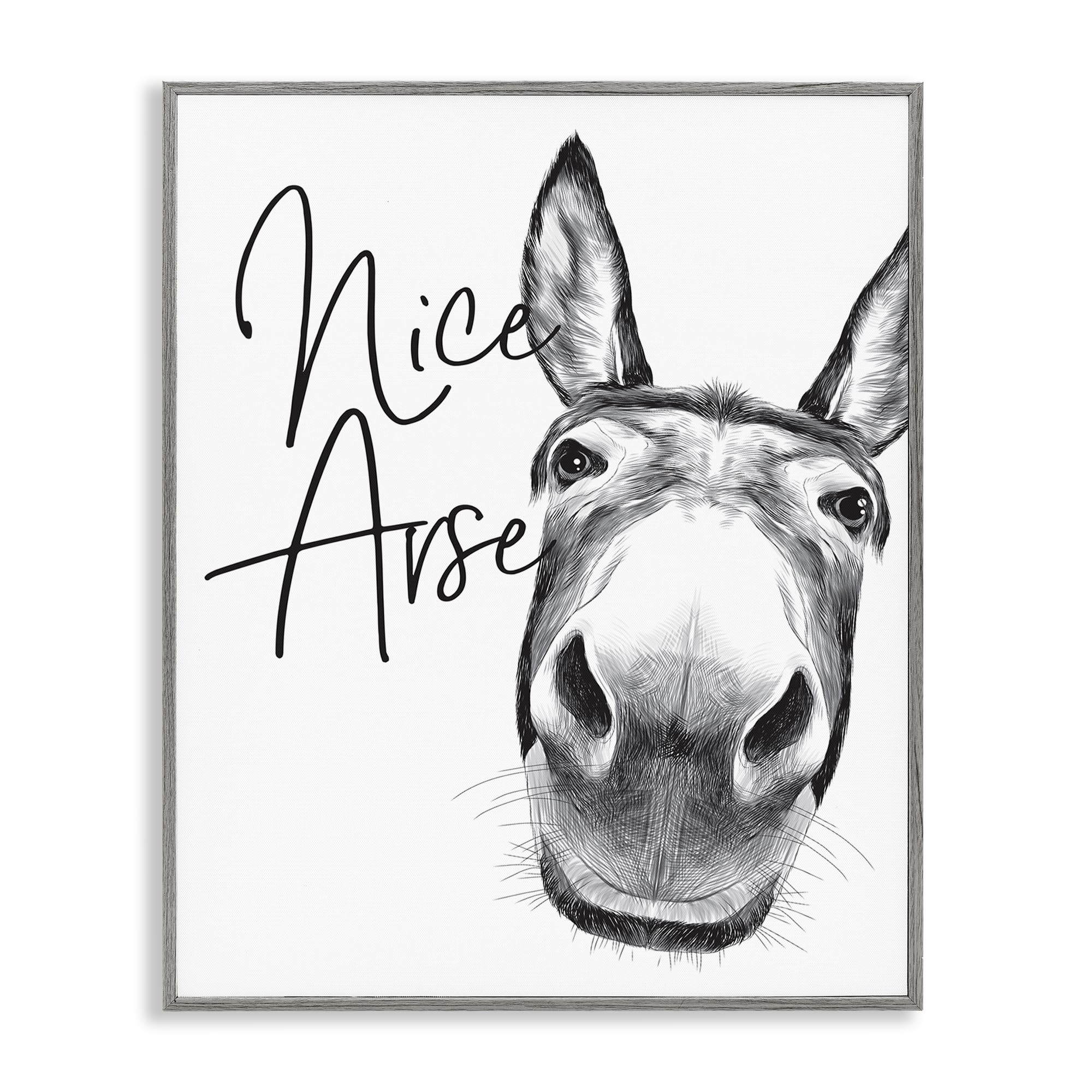 Donkey Bathroom Humor Comic, 24 x 30 Inch Framed Giclée Print