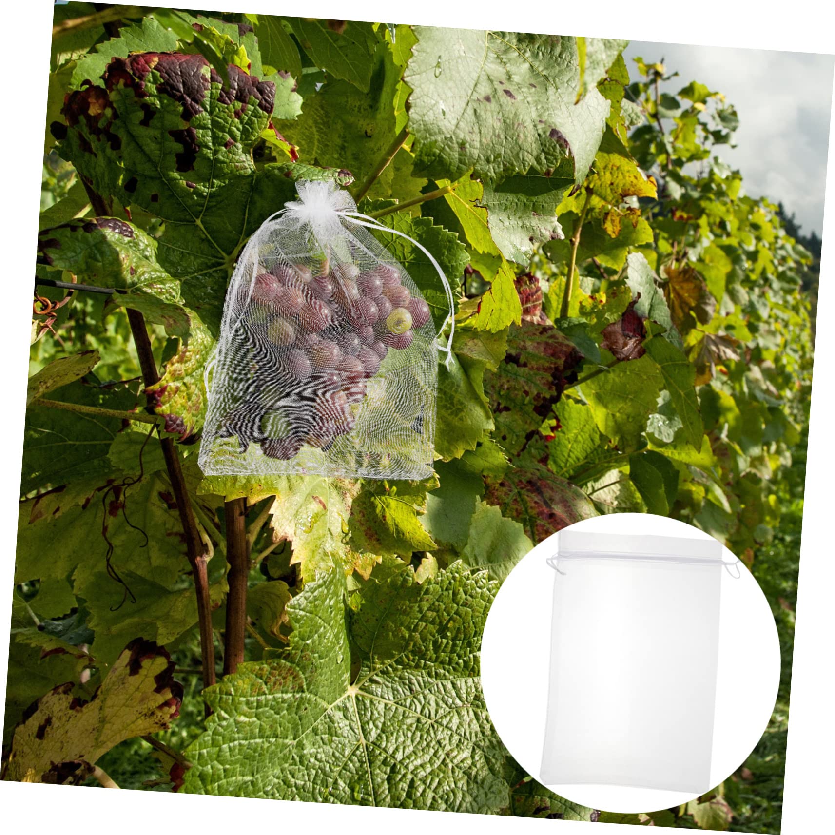 100piezas Bolsas De Malla para Frutas y Verduras Protección Eficaz contra Aves y Plagas para Jardines y Huertos