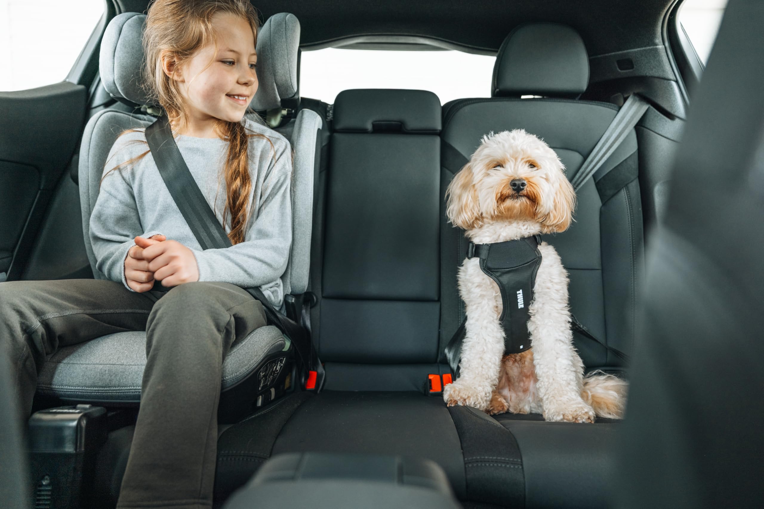 Thule Cappy Dog Harness L - Crash-Tested for Safety - Seatbelt passthrough - Adjustable & Easy to Clean - Padded Breathable mesh Panels - Leash Loop - Step-in Design - image 7