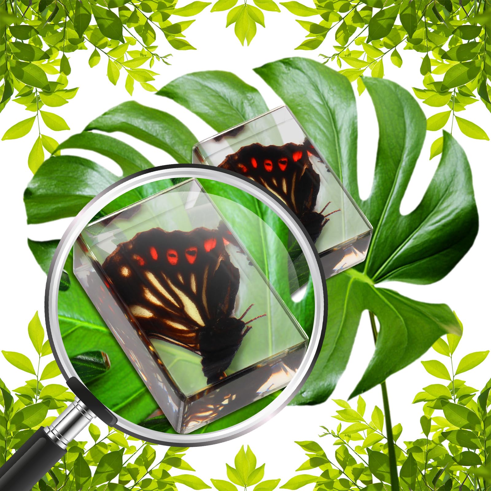 6pcs insecte en résine spécimen, bugs collection presse-papiers