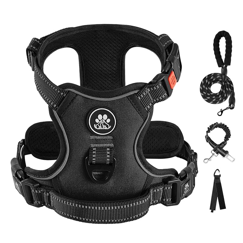 Peitoral vest refletivo para cães IVY&LANE com guia, cinto de segurança e alça de armazenamento, Preto, X-Small