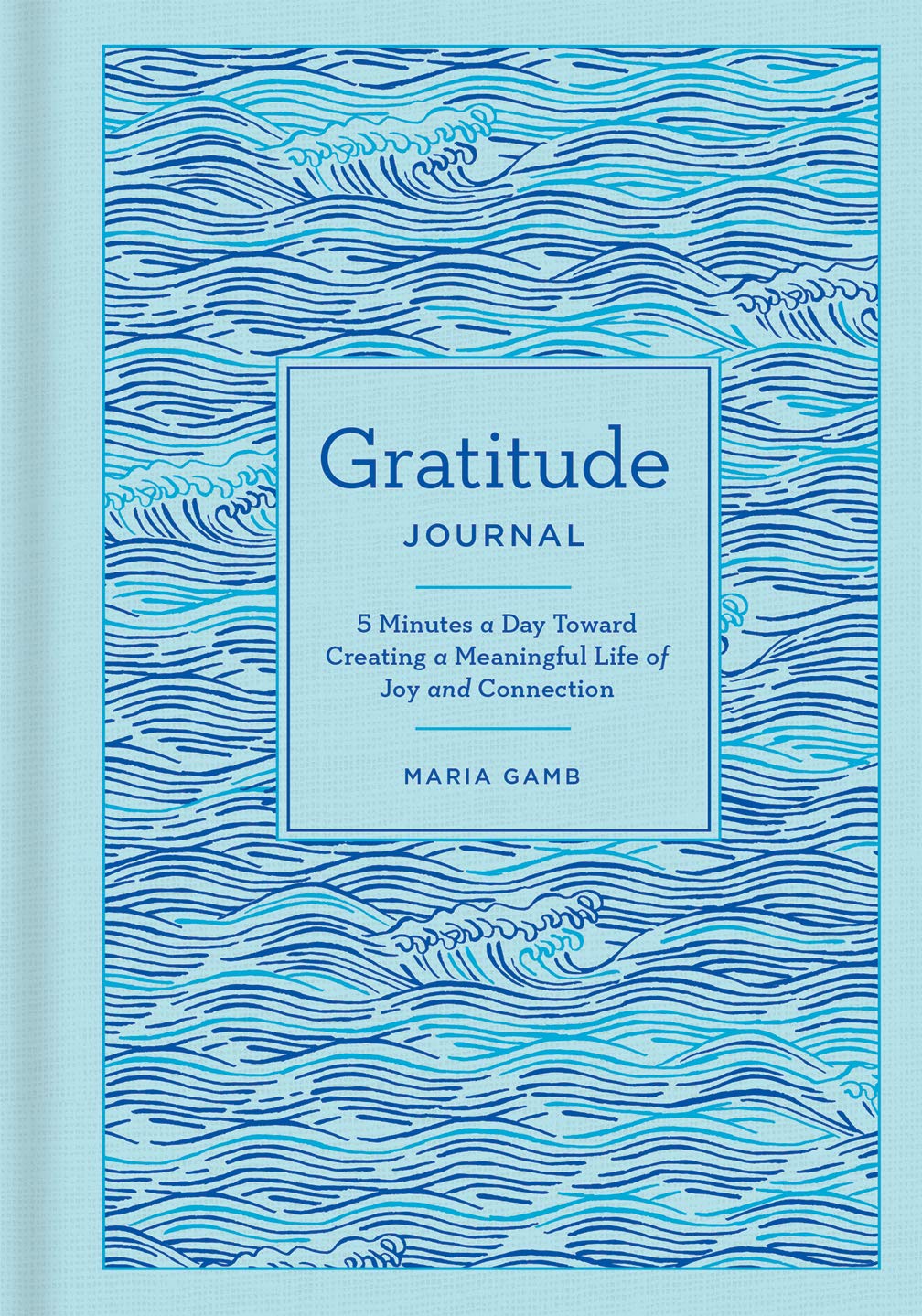 Gratitude Journal: 5 Minutes a Day Toward Creating a Meaningful Life of Joy and Connection (Gilded, Guided Journals)