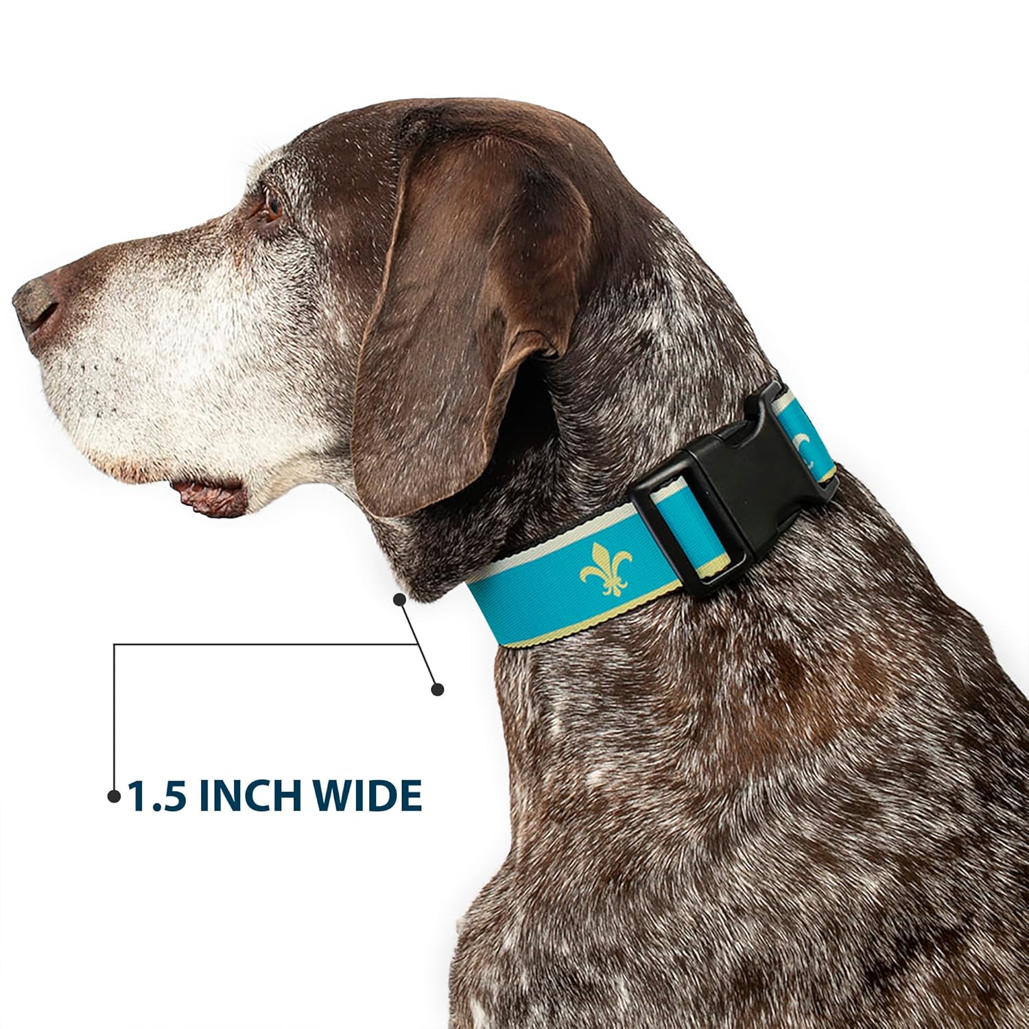 Buckle-Down PC-W30634-WM Plastic Clip Collar, Fleur de Lis, 1.5" Wide-Fits 16-23" Neck-Medium