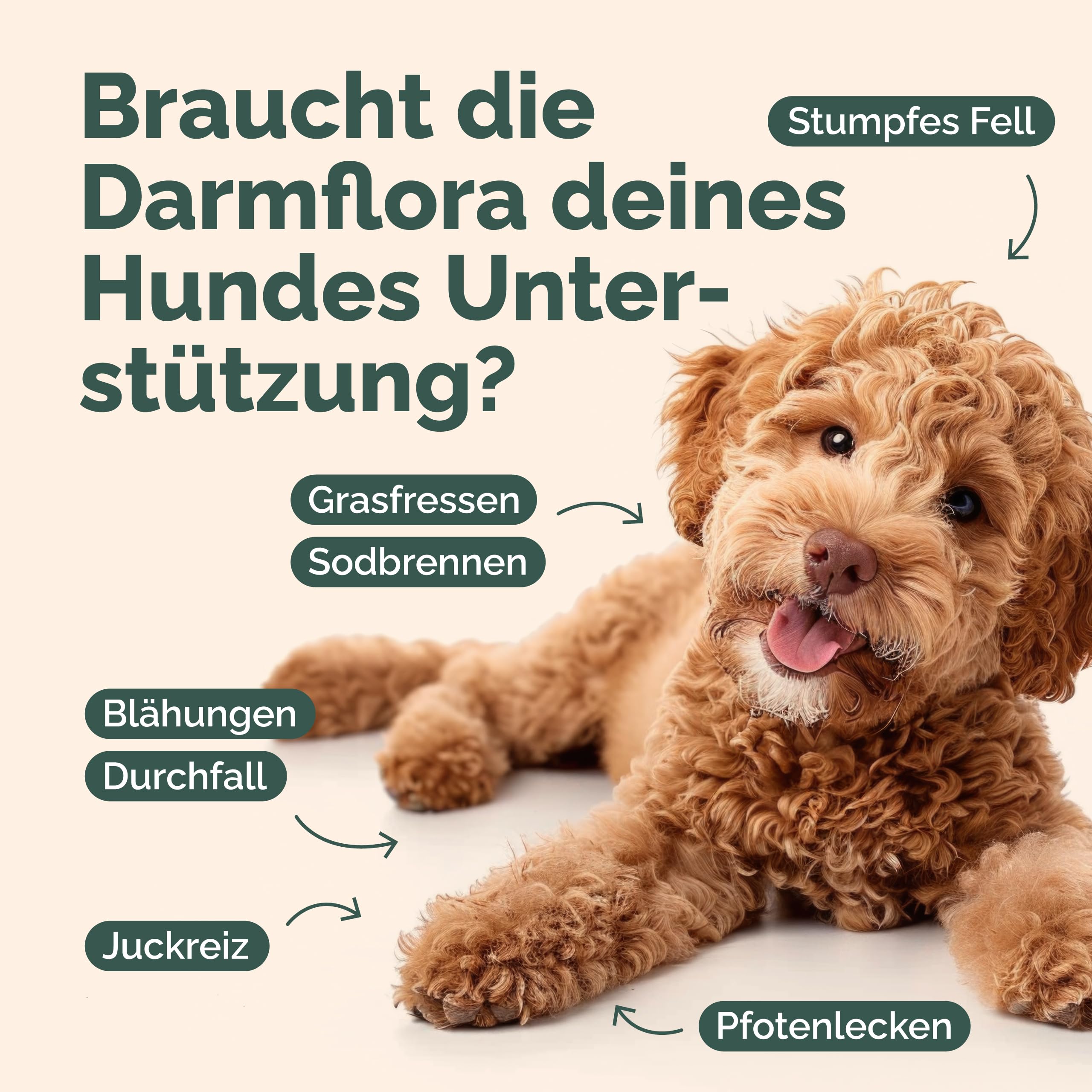 Probiotika-Mix für Hunde - 200 g - Natürliches Probiotika-Pulver - Präbiotika & Probiotika - Zur Unterstützung Einer gesunden Darmflora - Ohne künstliche Zusatzstoffe - Made in Germany