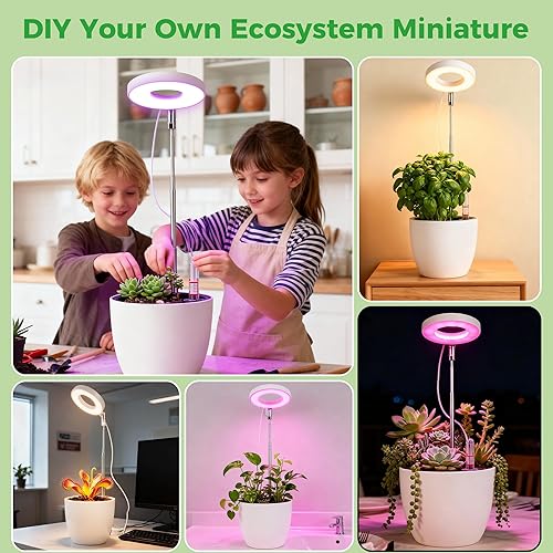 Miniatura 8 de Venus - Maceta de terrario atrapamoscas con luz LED de crecimiento y ventilación de aire, mini kit de maceta de ecosistema de escritorio para
