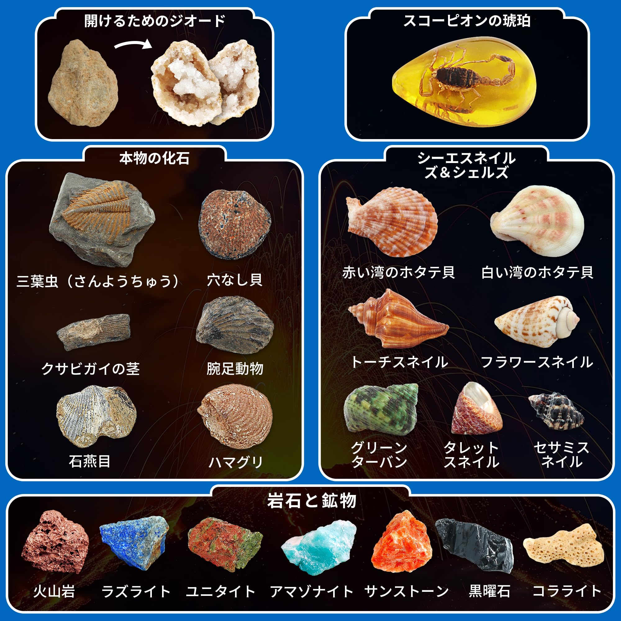 Amazon.co.jp: PIBEX 化石＆宝石発掘キット 火山実験付き 20種以上の