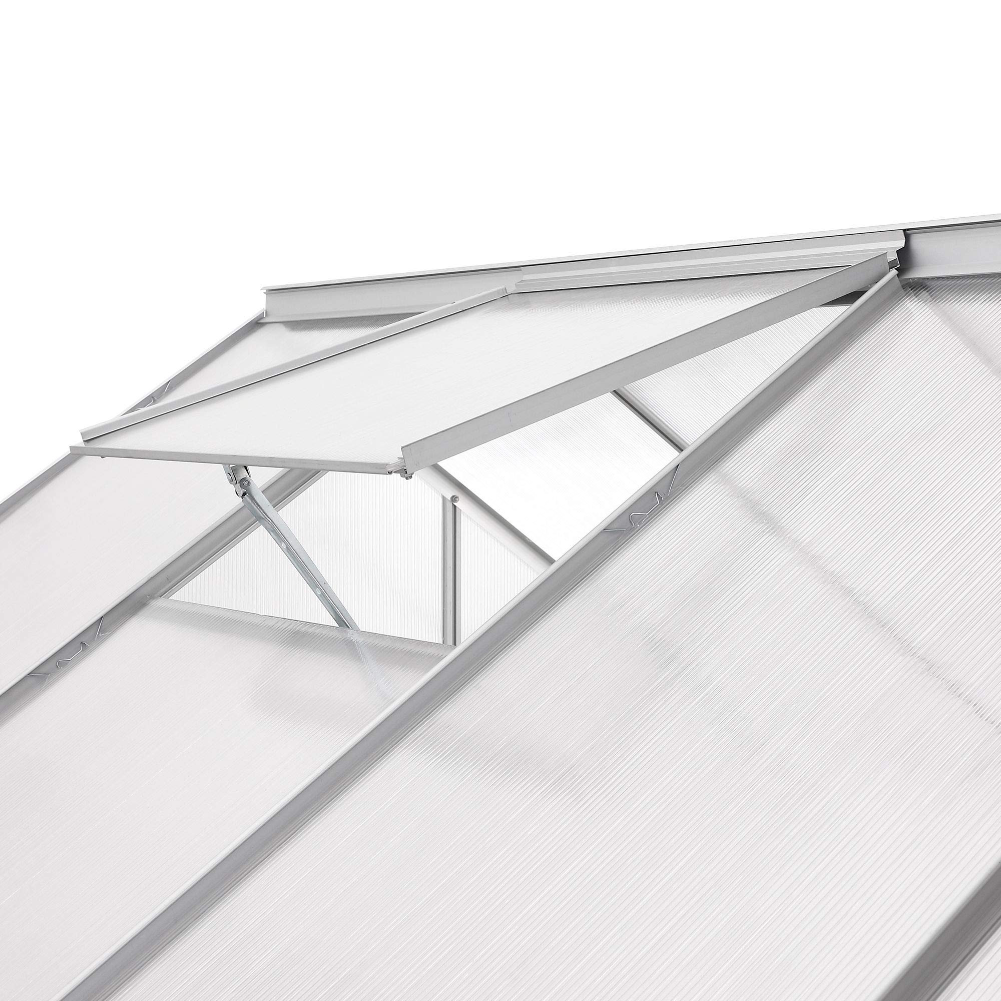 Zelsius Aluminium Gewächshaus mit Fundament 380 x 190 cm | 6 mm Hohlkammerplatten, UV-beständig, Winterfest | Treibhaus, Pflanzenhaus, Tomatenhaus, Frühbeet, Anbau Gewächshaus, Tomatengewächshaus
