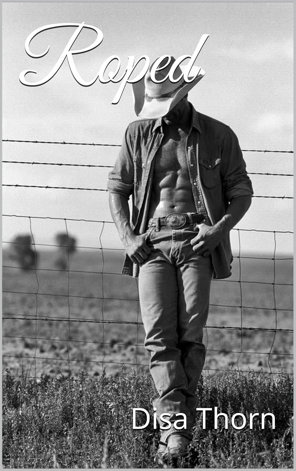 Roped (Seized by the Cowboy Book 1) eBook Thorn, Disa Kindle Store