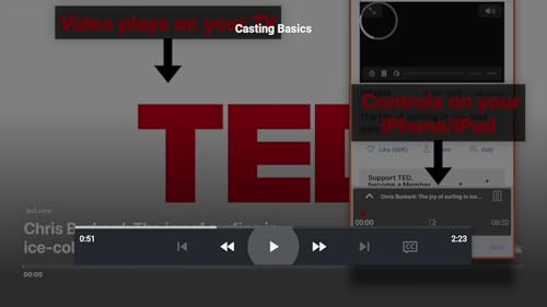 iWebTV Companion