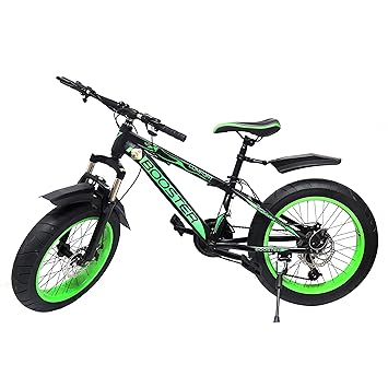 SHAKYA WORLD 20 x 4 Inch Men's Gear Fat Tyre Disk Brake Booster Riding Racer Mountain Bicycle- Green