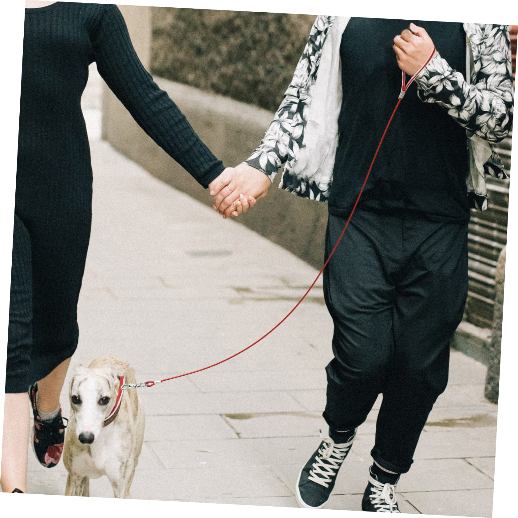 INOOMP 4pezzi Guinzaglio Per Cani Acciaio Inossidabile Resistente Ai Morsi Per Passeggiate e Attività All Aperto Design Elegante e Leggero