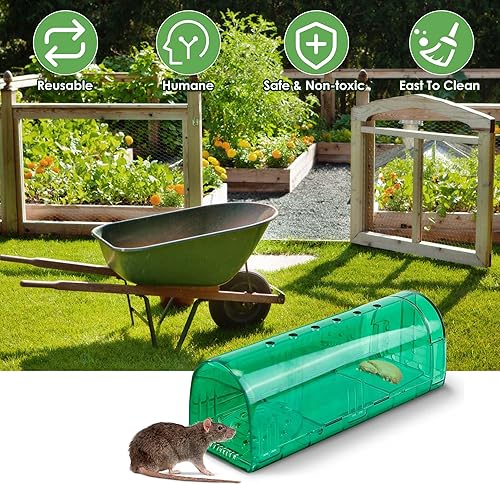 Miniatura 5 de Paquete de 2 trampas humanas para ratones, trampas para jaula de animales vivos para ratas, ratones, fáciles de usar y limpiar, sin liberación