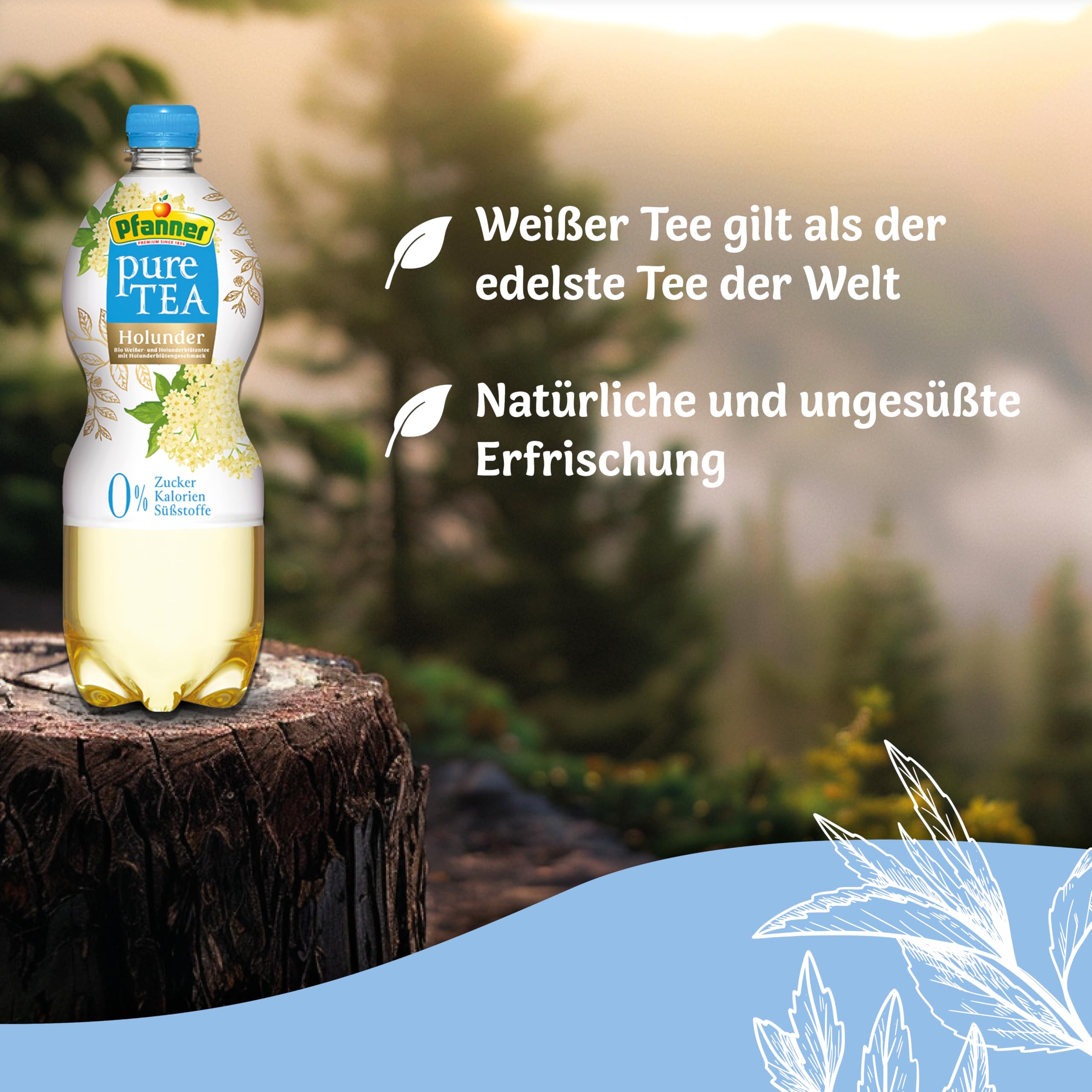 Pfanner Pure Tea Weißer Tee (1 x 1 l) – Eistee ohne Zucker und ohne Süßstoffe - Bio Tee mit Holunder und Zitronensaft