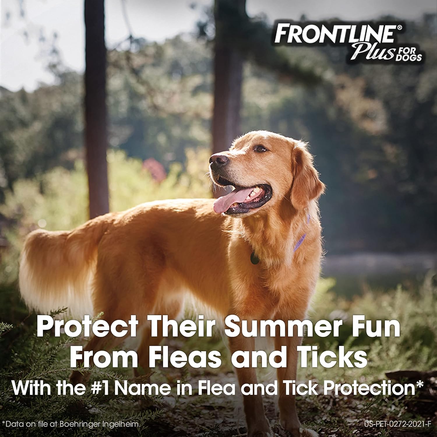 FRONTLINE Plus Flea and Tick Treatment for Dogs (Medium Dog, 23-44 Pounds, 6 Doses) : Pet Flea And Tick Repellents : Pet Supplies
