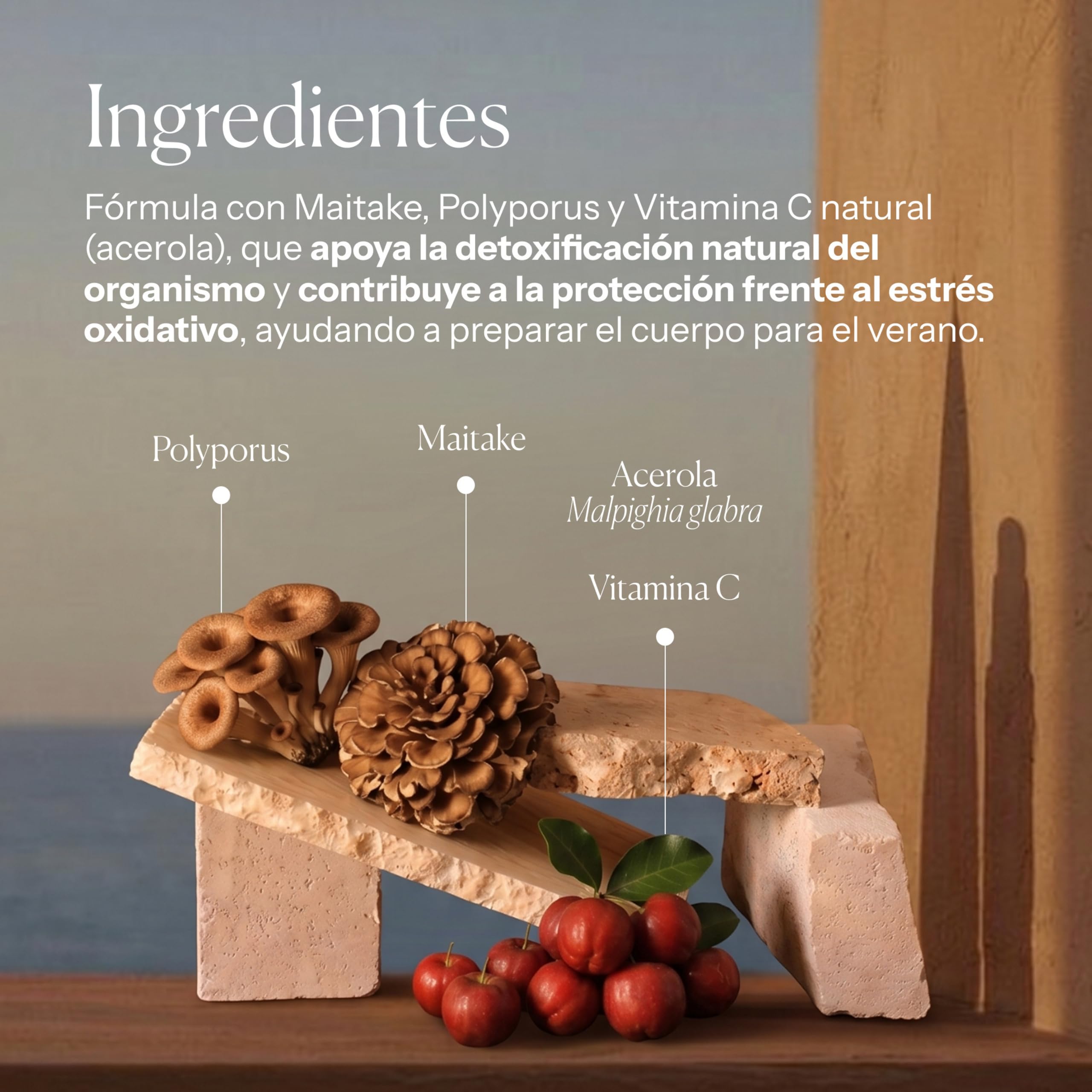 HIFAS DA TERRA - HIFAS-Detox Extractos de Hongos Puros de Maitake, Polyporus y Vitamina C para Combatir el Estrés Oxidativo - Bote 60 cápsulas
