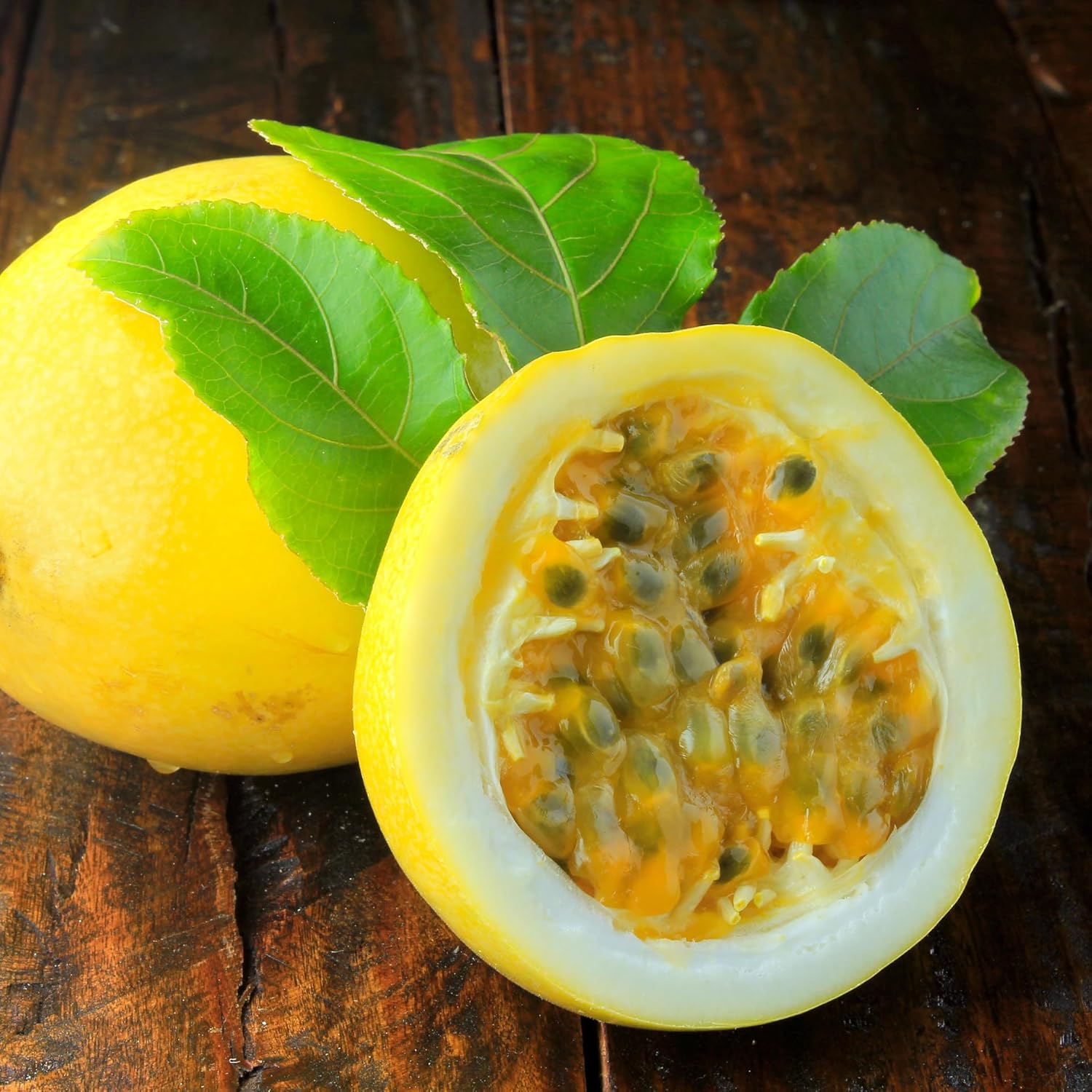 Yellow Passion Fruit Plant Live, 5 to 8 inch Tall Passiflora Passion Fruit Plant for Outdoors Garden, Perennial Fruits Climbing Vine Starter Plants Without Pot