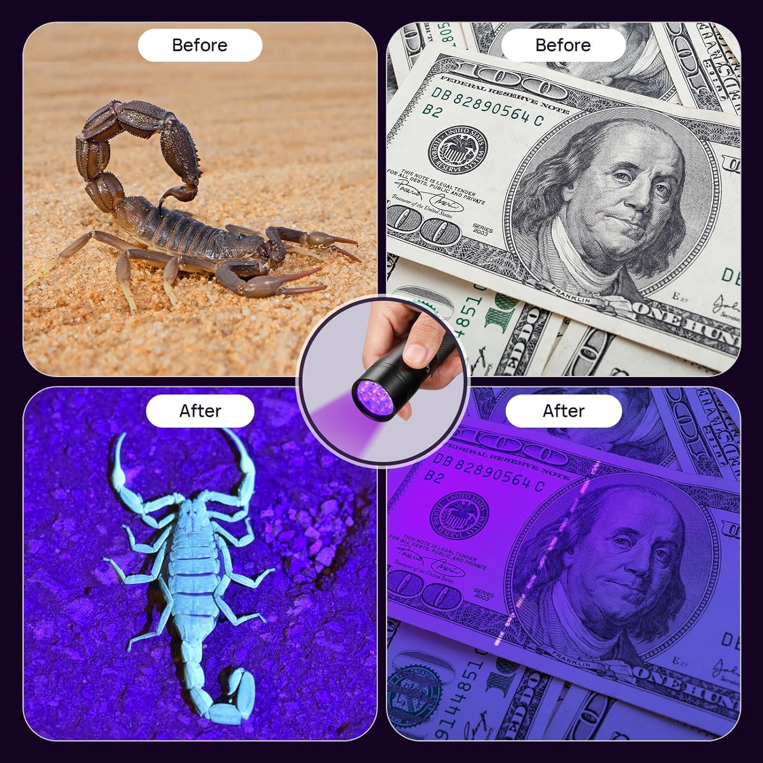 REES52 UV Flashlight Black Lite, Sushyot 12 LED 395Nm Ulbanic Blacklight, Portable Mini Torch Light Stomach Urinary Detector dog/cat urine, dried stains, bed bag REES52 UV Flashlight Black Lite, Sushyot 12 LED 395Nm Ulbanic Blacklight, Portable Mini Torch Light Stomach Urinary Detector dog/cat urine, dried stains, bed bag