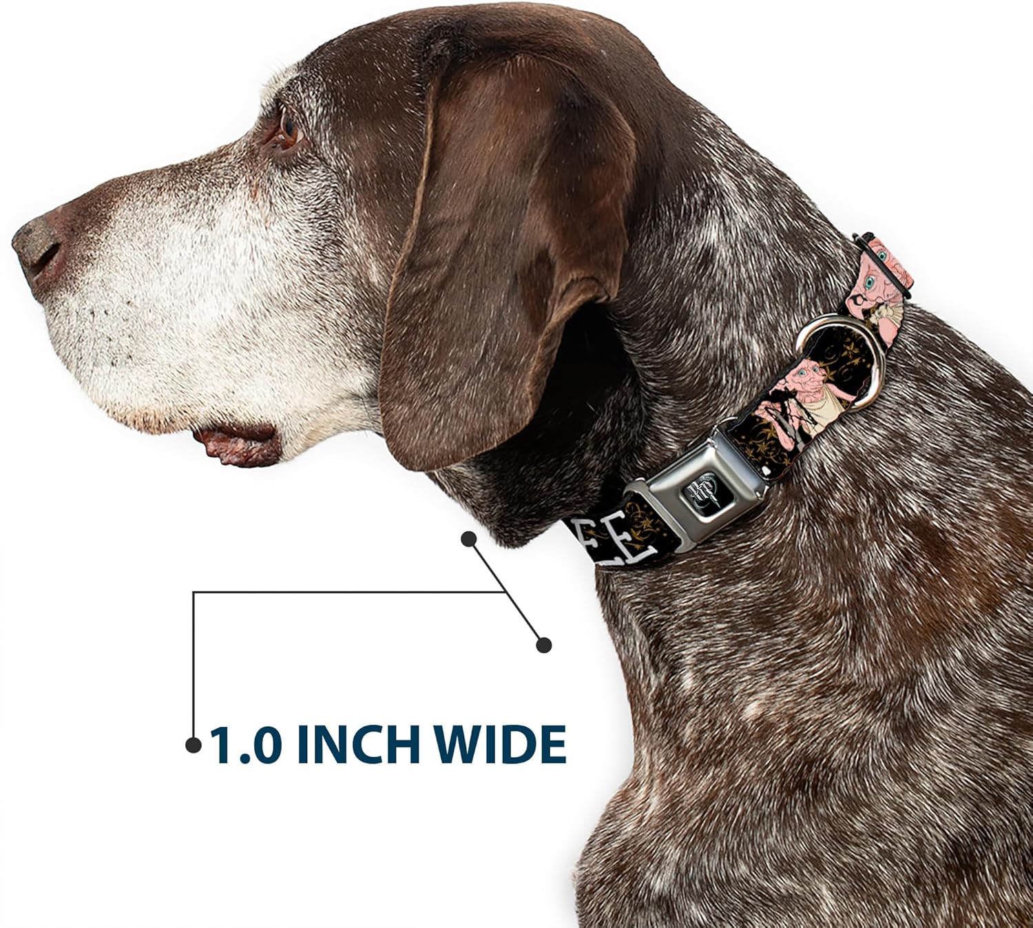 Warner Bros. Pet Collar, Dog Collar Metal Seatbelt Buckle, Dobby is Free 3 Dobby Poses Star Swirls Black Gold White, 13 to 17 Inches 1.5 Inch Wide