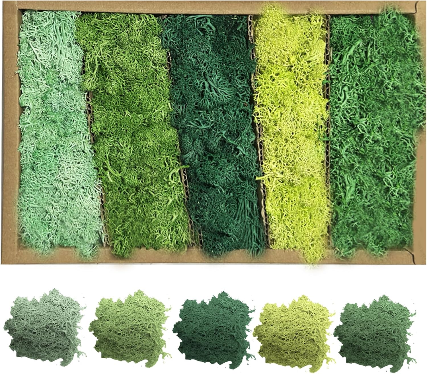 Konserviertes Moos Für Deko & Basteln - 5 Farben Naturmoos 200g Box