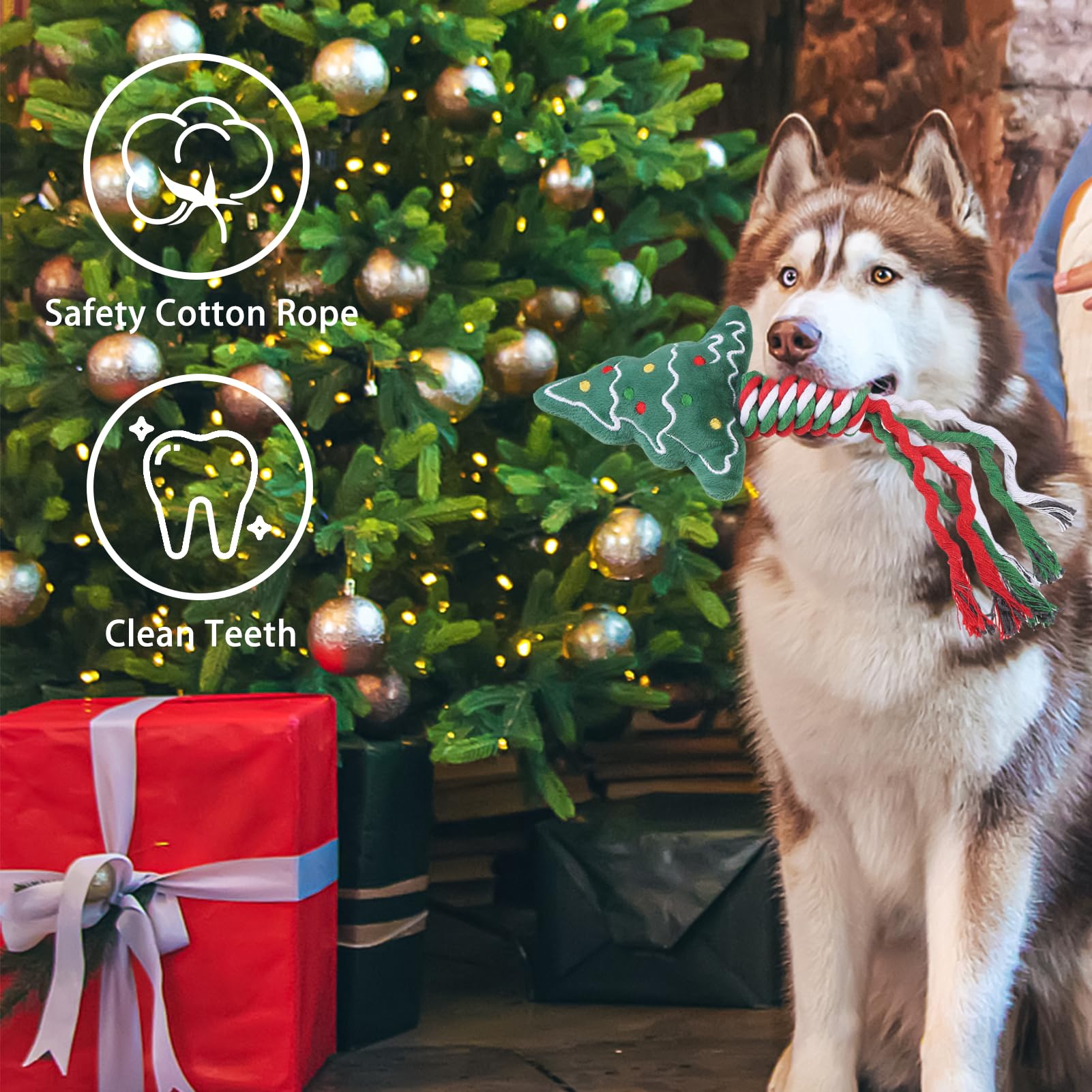 SCENEREAL Weihnachtliches Hundespielzeug aus Seil, 4 Stück, Kauspielzeug mit Strumpf zur Zahnreinigung, quietschendes Plüsch-Welpenspielzeug, interaktives Hundestrumpffüller, Weihnachtsgeschenke für