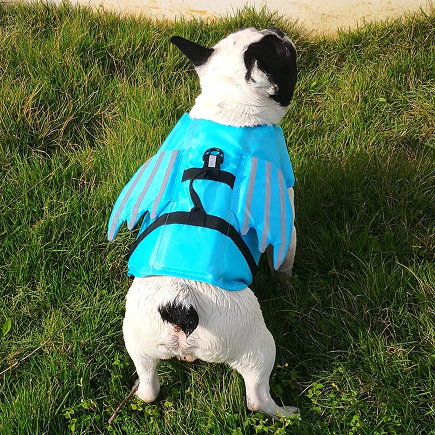 Dog Life Jacket,Pet Floatation Life Vest with Wings,Ripstop Dog Life Vests Dog Lifesaver Preserver Swimsuit with Handle&Reflective for Small, Medium, Large Dogs for Swim, Pool, Beach