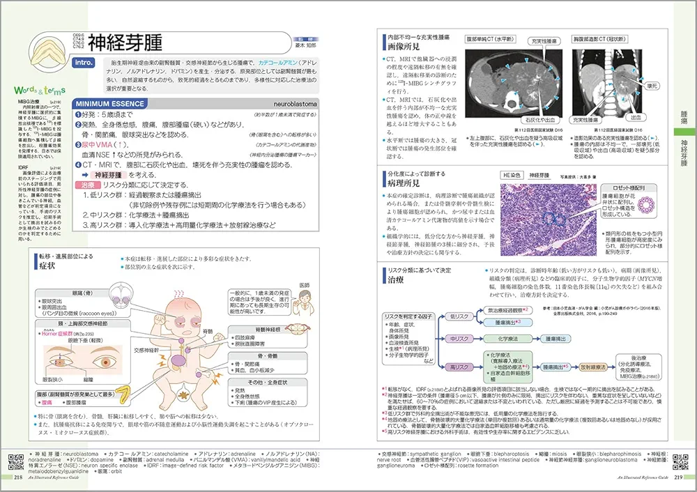 病気がみえる vol.15 小児科 第1版 | 医療情報科学研究所 |本