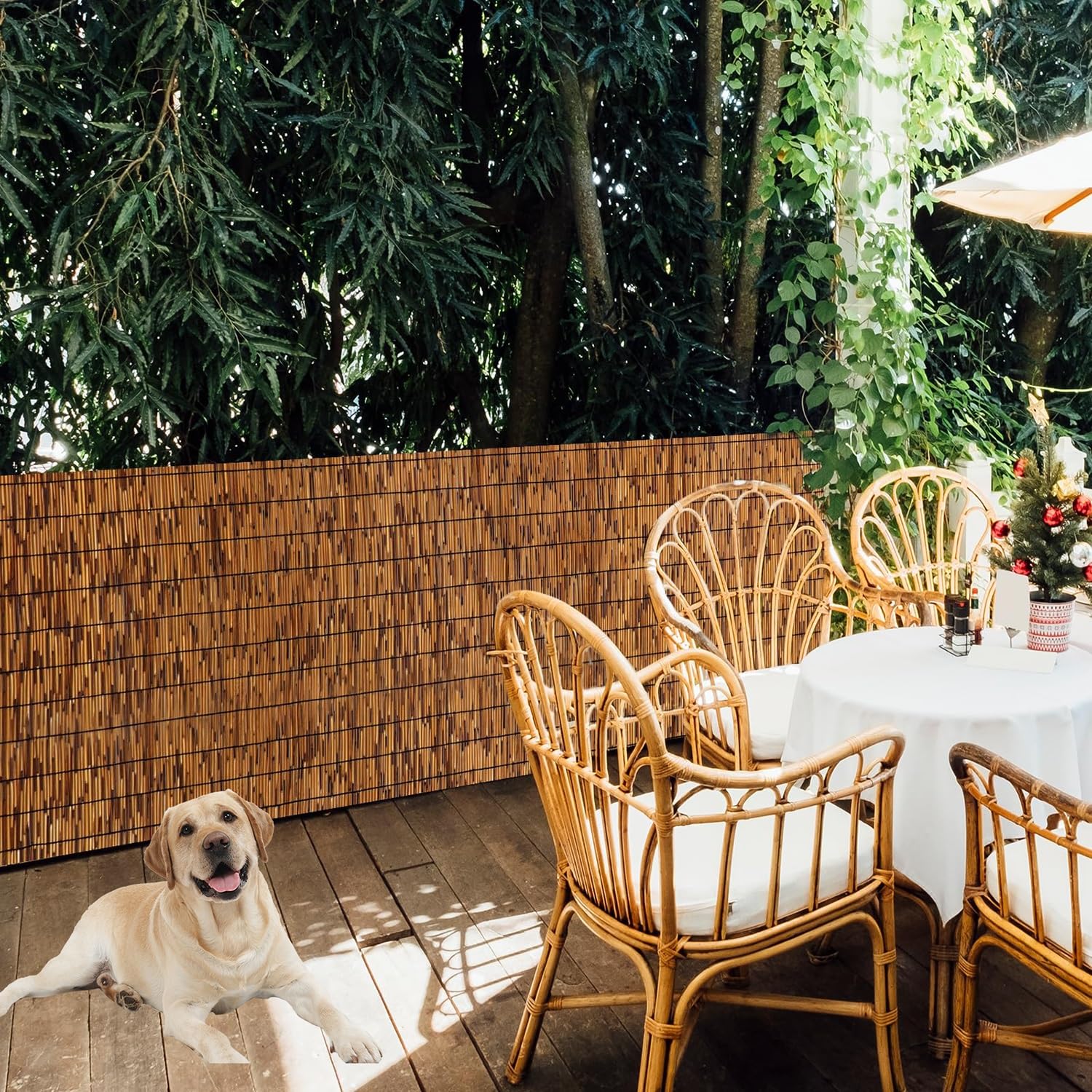 Valla De Cañizo De Bambú Natural Para Jardín | Cerca De Ocultación Para Piscinas, Balcones Y Terrazas | Altura Personalizable 30-180 Cm