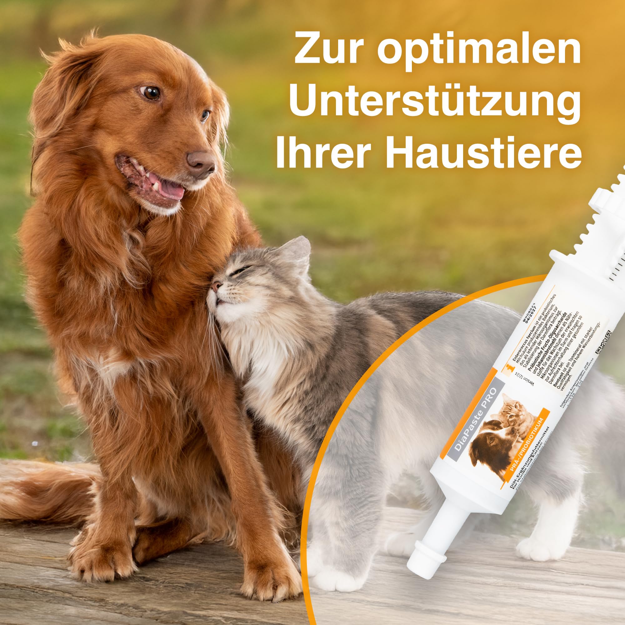Alfavet DiaPaste Pro mit Injektor | 60 ml | Diät-Ergänzungsfuttermittel für Hunde und Katzen | Prä-/Probiotikum zur Stabilisierung der physiologischen Verdauung & der Darmflora