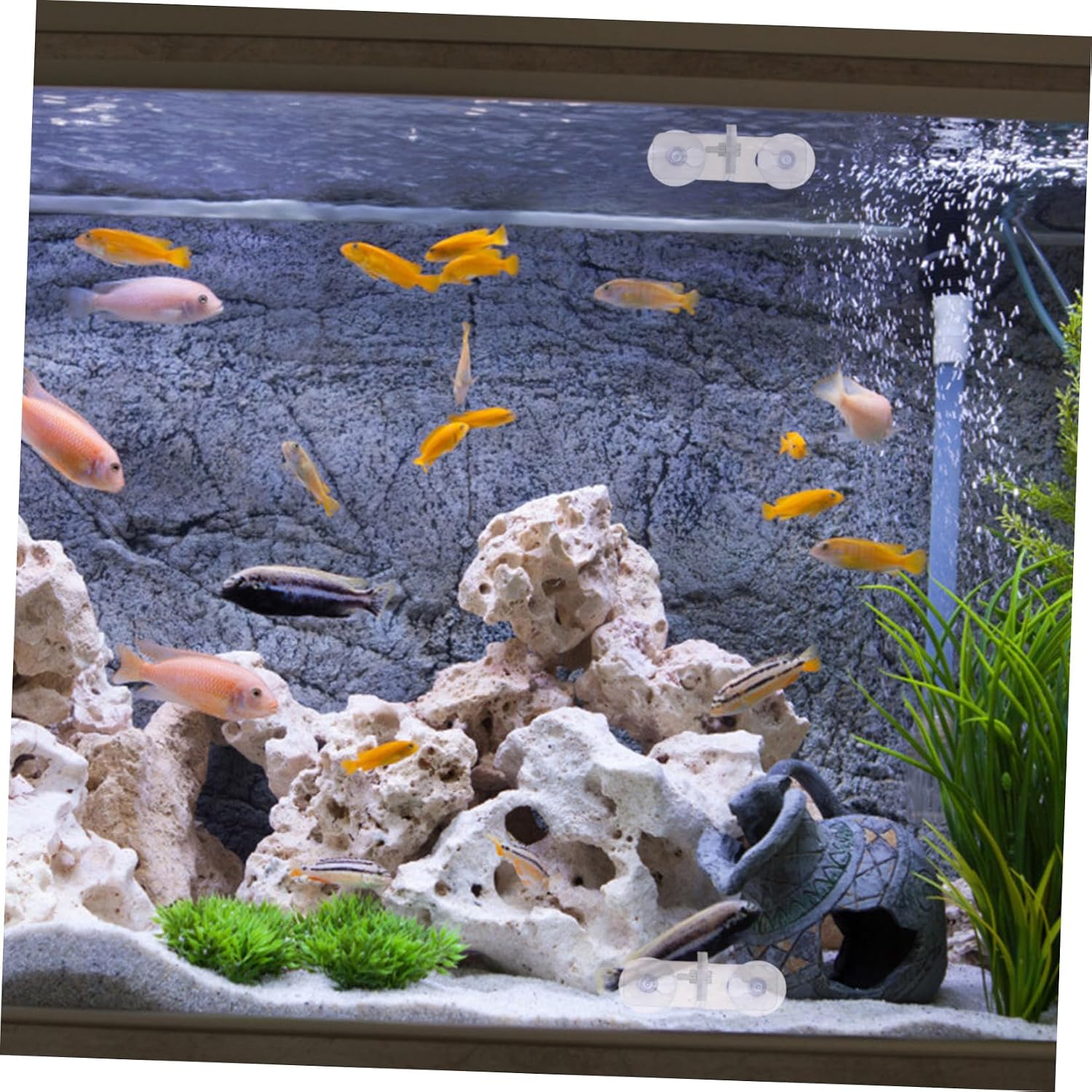 10pcs Fish Tank Divider Clamp with Suction Cup Acrylic Aquarium Plate Clip Easy to Install and Securely Fix Airline Tubing Does Not Obstruct Tank View for Fish Breeding